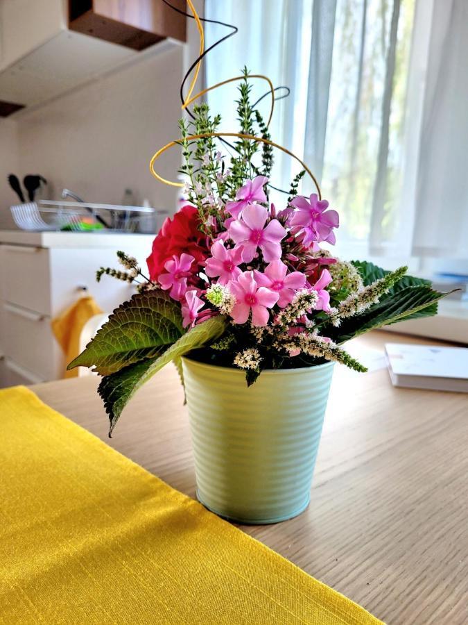 Apartment Sonnenschein Dornbirn Extérieur photo